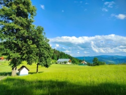 0acf24d4-95b2-4327-9788-d49b3a2e667a