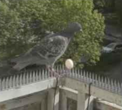 12203a74-c24c-493e-b591-b28cd31e8df3