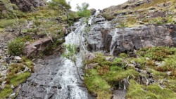 e11de8a7-f626-4a88-a507-bf1d0ef6d800