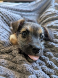 a8158e61-9ea6-434e-9944-ad516fe8e5d5