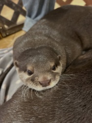 ad0486bb-20e7-45fc-a83f-07c7c6e0eb4f