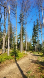 cc53e2b8-019e-48ef-9684-45790fa86ba2