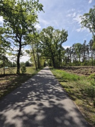 c0dad482-5afa-47b3-b810-03384df3a7ea