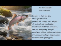 Co Zginęło Jan Twardowski Poezje Wiersze | Poezja Dla Duszy