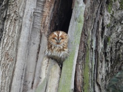 3f5faca1-90cf-4f54-8765-f734b71b0872