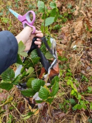 e9e35b43-677f-4ce9-9734-1e59fd6d0649