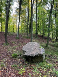 c0ad8ddc-7ec9-49ae-bc62-2eadf22fd900