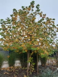 eef9e7b1-b460-49cb-941b-5486d118fa0c