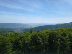 ba5c20e4-008d-4190-9fa1-2de0ee9fcf51