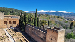 137ccc5f-6581-4c86-a466-c33460083256