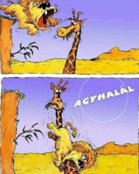 2eabb852-ba24-4813-93a7-2d32e3212b16