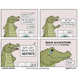 c3bcca13-b4e8-4150-a005-ece10d634147