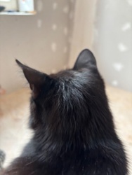 b40d9216-0784-471b-a0a5-631bc099d2b0