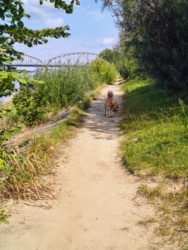 7ab37a56-c723-406d-a5c5-a1db5b6681dd