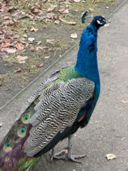 cf0df091-01f1-45b0-9f2b-da96a13e7246