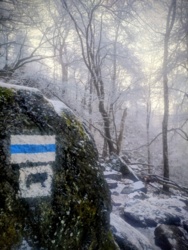 148a6264-a361-4617-80a6-ce72fedd7583