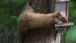 9ad73976-7f84-4d2f-a55f-72282d2d5d45