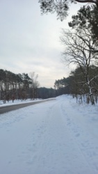 0a8f85e6-cd62-4e87-b62e-8a564a5349f5