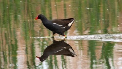 3c3f290b-3a6f-4749-98b0-409f91f8ce90