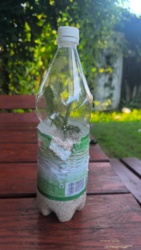 2953ce86-26b1-4f35-94cc-107f13faf9dc