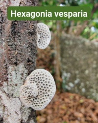 5b606d41-07e5-4241-b4cf-9b6d923ca965