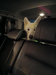 05c23993-444d-4ca1-b847-012f97eaf76c