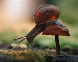 78bea028-f833-4cff-b7a8-e25ca9896477