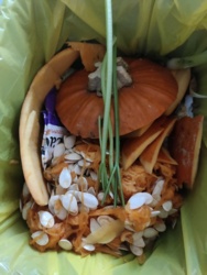 58f5de6d-b00a-463a-825e-5e1e7dec23a3