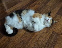 2f7bdb81-cec8-4232-8bec-a0091631b0ad