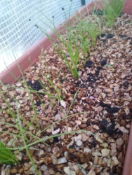 3b1a0121-69ed-42ce-8e61-71c3a0ca7db3