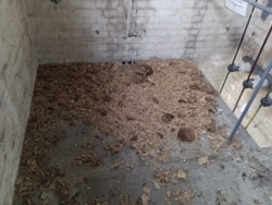 d7072cd2-8208-455b-9b27-1ff81ac77a13