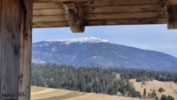 01d47d46-9666-44b4-adab-14e4c534ebc0