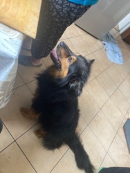 6dcba6de-05a5-4ee9-a129-2e97619ccb90