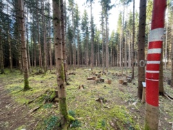 5a05a30c-cb2c-4352-8a54-f7d5f8b91009