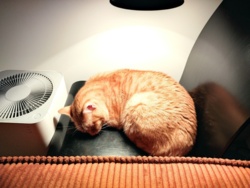 e7e074f4-38fa-4a29-a361-df281a4fef3e