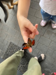 a541e59e-8133-467a-a71c-4adf818fd1c1