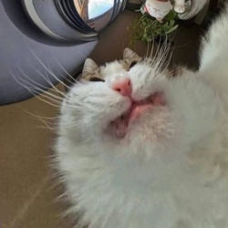 1a7c2f2f-4bc7-466c-9891-36603d4b36e8