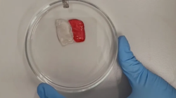 Naukowcy z Łukasiewicza opracowali hydrożele z polimerów naturalnych, ze zdolnością do samonaprawy