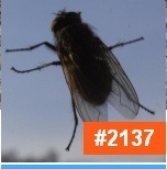 0f38928a-bad3-4d80-8413-e14588c2c605