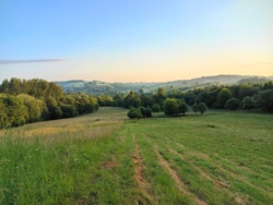 c9529ffc-0968-4a86-8659-2361c43b1d39