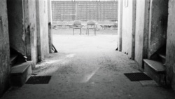 d93a0f87-9495-47db-8065-d2513a3ab0a0