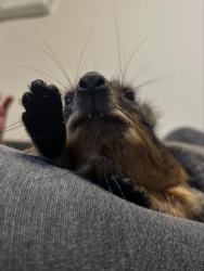 ab7888f6-3d2e-4265-9e41-10407ace924a