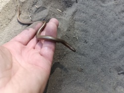 5a6aa205-01aa-47f9-8c21-a980d55a82b9