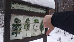 ece7b6b5-4072-42e6-b8bc-08d20b7390dc