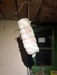 82e35ef5-fd59-4f54-9b54-dabe521ef50b