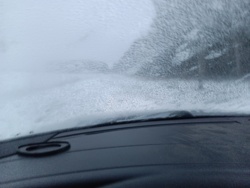 ecea9384-e6d5-4b86-a96b-c940f8e11b2d