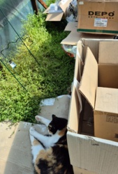 fc0d7ea9-edf2-4498-a1b1-31ca67504bbd