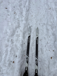 1753cb15-4b67-4949-98a3-6bca02ea4837