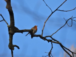 8ee6ab10-c9c5-4173-9083-9a5c6a194729