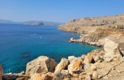 c8897d38-2443-47a9-a4a1-a314ef8f61a8